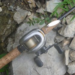 浮草、アオコ発生