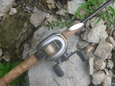 浮草、アオコ発生