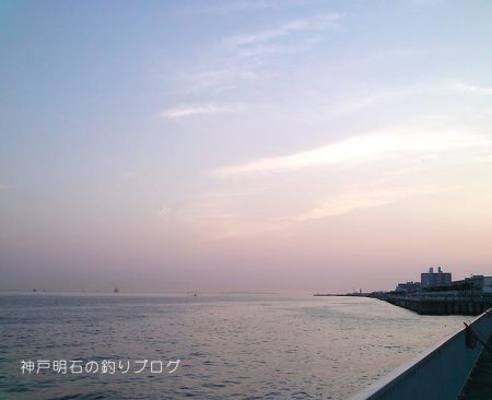 ファミリーで少し釣行