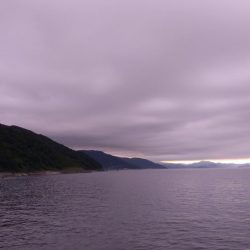 今日もペンペン祭り