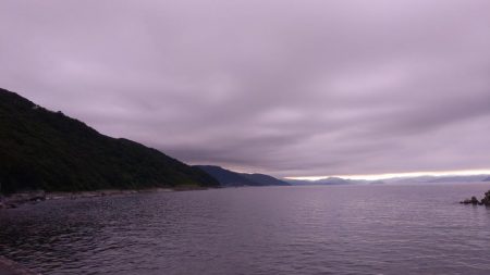 今日もペンペン祭り