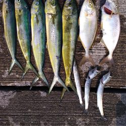 ショアジギ3目釣り