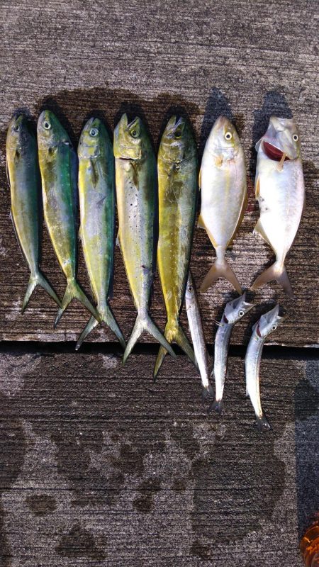 ショアジギ3目釣り