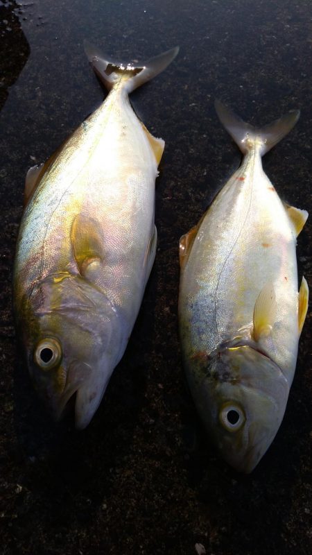 台風後の海は？