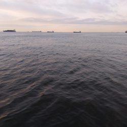 沖堤防 ハマチとツバス 爆