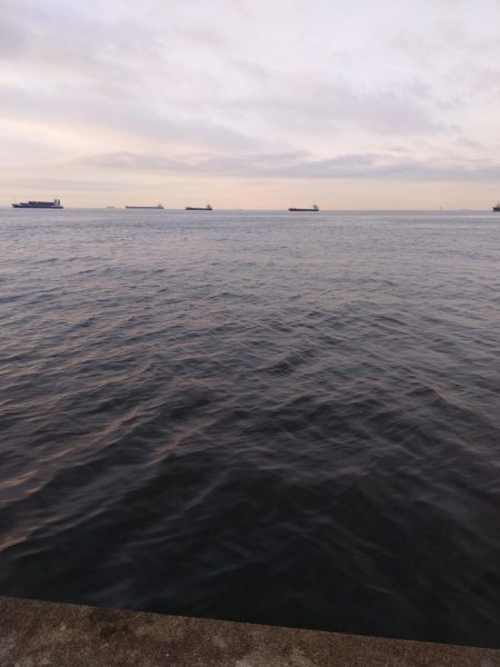 沖堤防 ハマチとツバス 爆