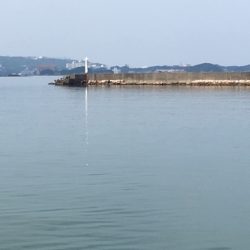 チャリコとコアジ