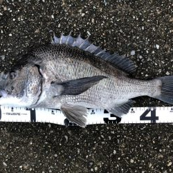 イチノ兄弟、釣果！！