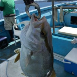 鳴門沖釣り