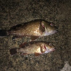 ナイスガッシー