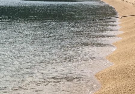 タコパラダイス