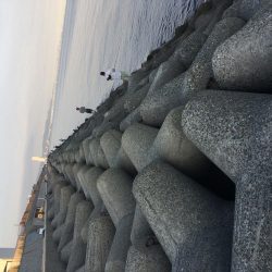 メタルマルでツバス