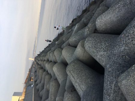 メタルマルでツバス