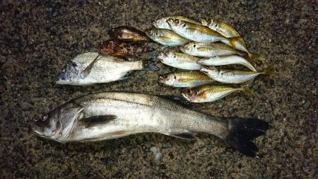 いつもの場所で5種目