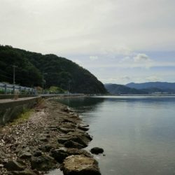 猛暑のロックフィッシュ