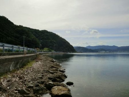 猛暑のロックフィッシュ