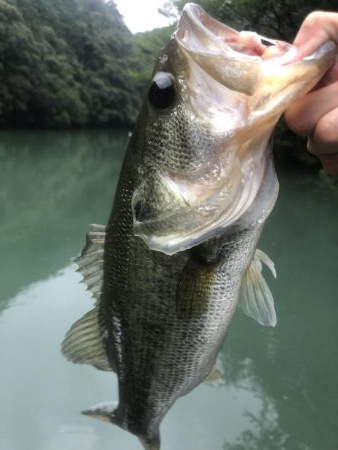 久しぶりのダム釣行