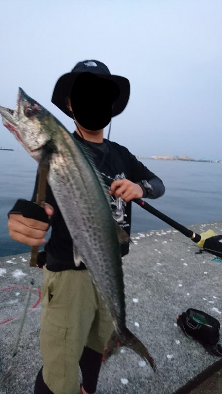 ポーアイ沖で9目