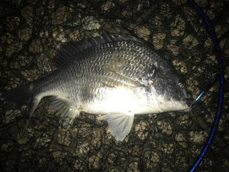 ゲリラ豪雨の後すかさず