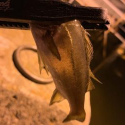 まさかのメッキ