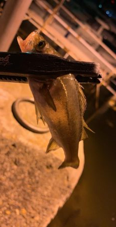 まさかのメッキ