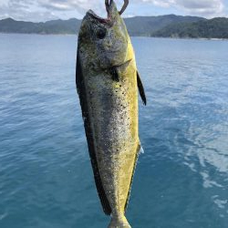 まさかの?!5種目