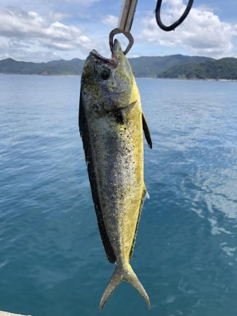 まさかの?!5種目