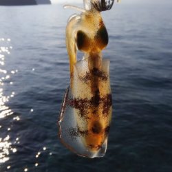 やっと楽しみな秋始まりです❗