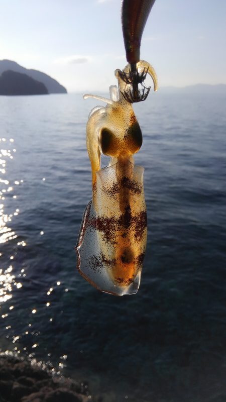 やっと楽しみな秋始まりです❗