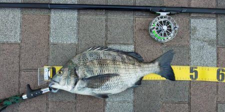 お盆前に　～さざなみ公園～