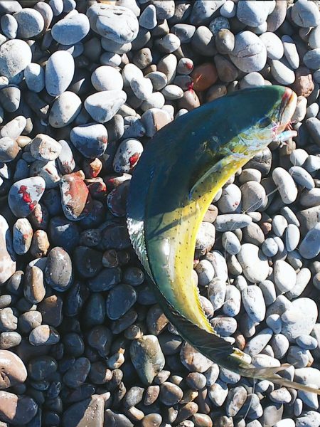 ワンピッチ？ジャカジャカ？