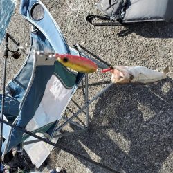 台風前の一文字に