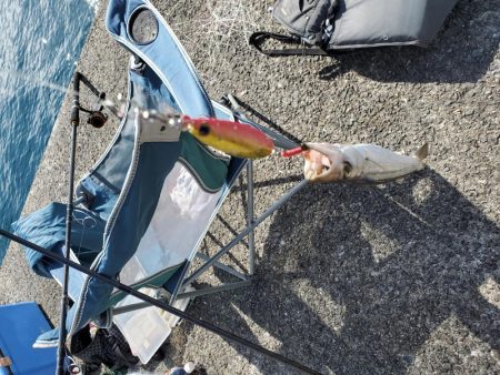 台風前の一文字に