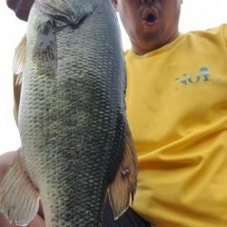 縦ストディープ