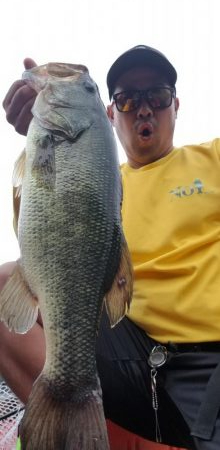 縦ストディープ