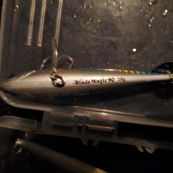 写真ぶれてすみません。