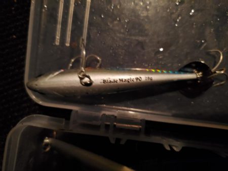 写真ぶれてすみません。