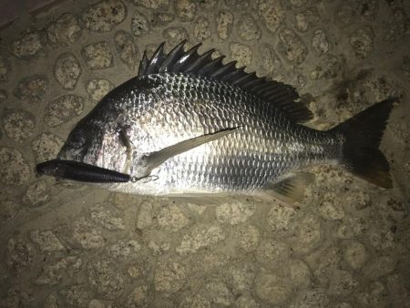 お盆休み最終日