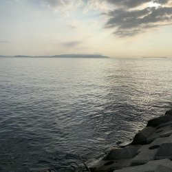 とりあえず当たりあり