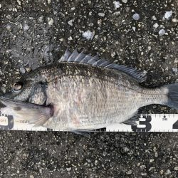 イチノ兄弟、釣果！