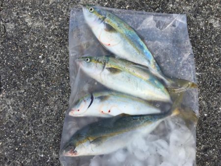 バイブレーション‼þ…