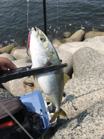 ラッキー！ジグパラw