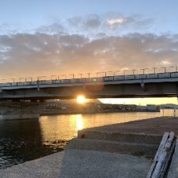 キスがたくさん