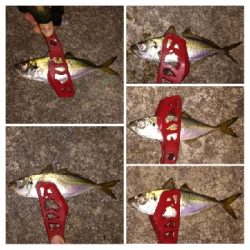 アジンガー1910〜2130