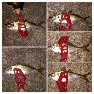 アジンガー1910〜2130