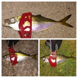 アジンガー1855〜1930 2105〜2140