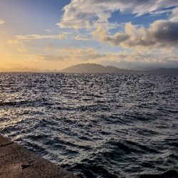 台風前の釣果!!