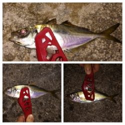 アジンガー1900〜1931 2105〜2141