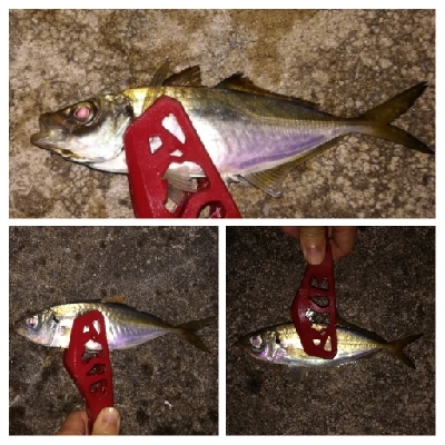 アジンガー1900〜1931 2105〜2141