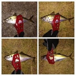 アジンガー1800〜2010